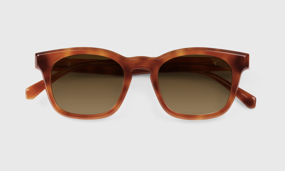 Humble Narrator - Laydown - Polarized Brown