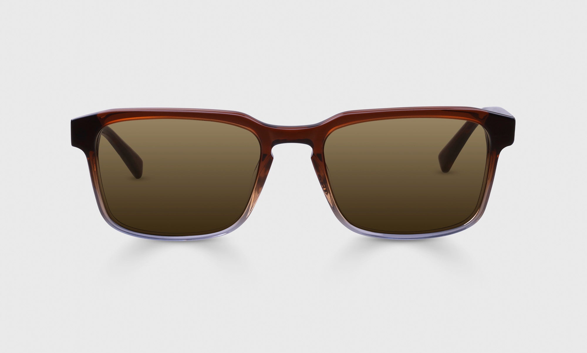 Seymour Glass Sunglasses | eyebobs