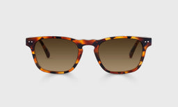 19-pb | eyebobs Old Sport, Average, Rectangle, Reader Sunglasses, Polarized Brown