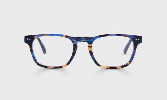 50 - Blue and Brown Tortoise Front and Temples