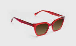 Overlook - Angle - Polarized Brown