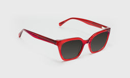 Overlook - Angle - Polarized Grey