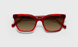Overlook - Laydown - Polarized Brown