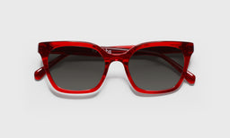 Overlook - Laydown - Polarized Grey
