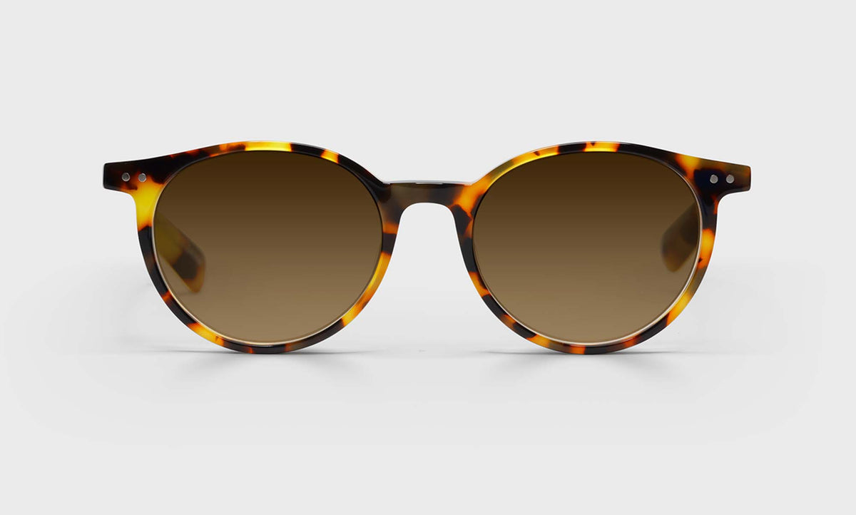 Case Closed Sunglasses with italian-designed acetate tortoise frame and polarized brown lenses with scratch resistant coating
