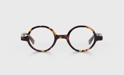 19 - Tortoise Front and Temples