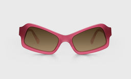 Sexy Professor - Front - Polarized Brown