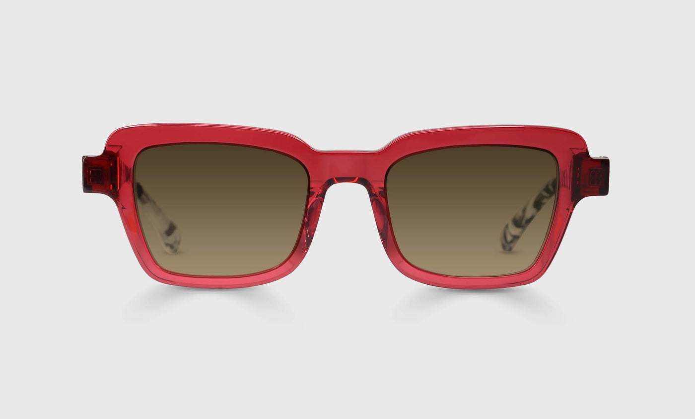 Large and In Charge - Front - Polarized Brown
