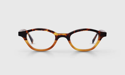 Pickwick Color 19 - Tortoise to Amber Fade Front and Temples
