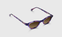 Pickwick - Angle - Polarized Brown