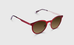 Steely Special - Angle - Polarized Brown