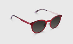 Steely Special - Angle - Polarized Grey