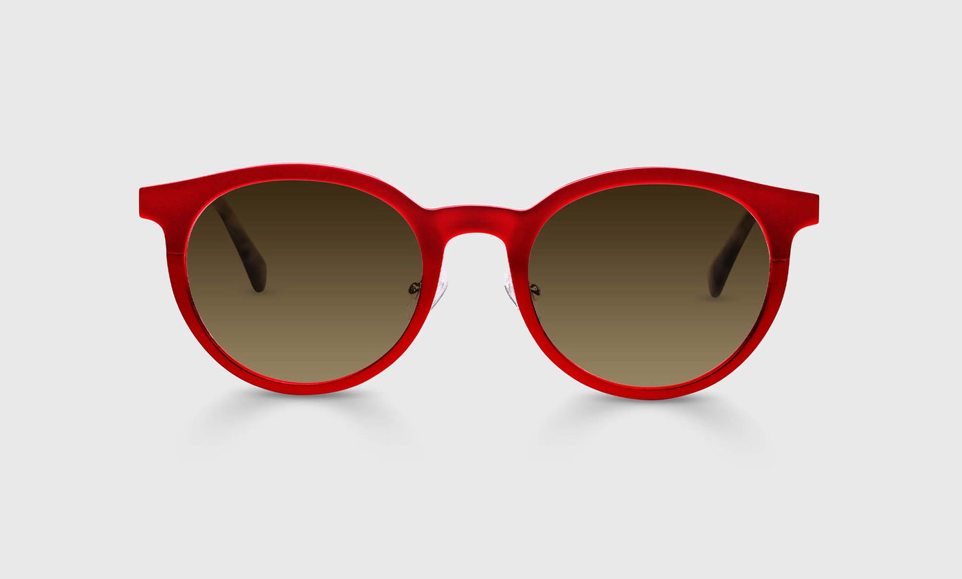 Steely Special - Front - Polarized Brown