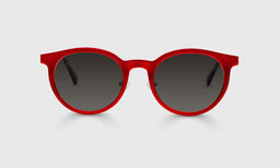 Steely Special - Front - Polarized Grey