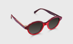 Well-Rounded - Angle - Polarized Grey