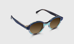 Well-Rounded - Angle - Polarized Brown