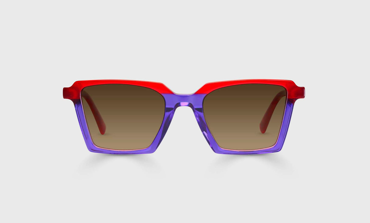 See Straight - Front - Polarized Brown