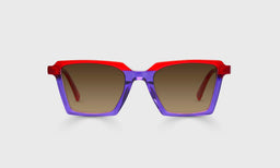 See Straight - Front - Polarized Brown