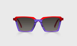 See Straight - Front - Polarized Grey