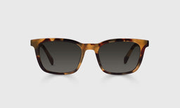 Brain Break Color 19 - Tortoise Front and Temples
