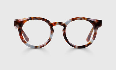 18 - Soft Teal and Brown Tortoise Front and Temples