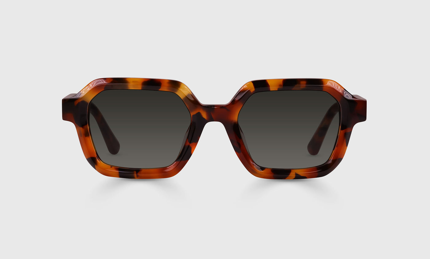Eye-Con Color 19 - Tortoise Front and Temples