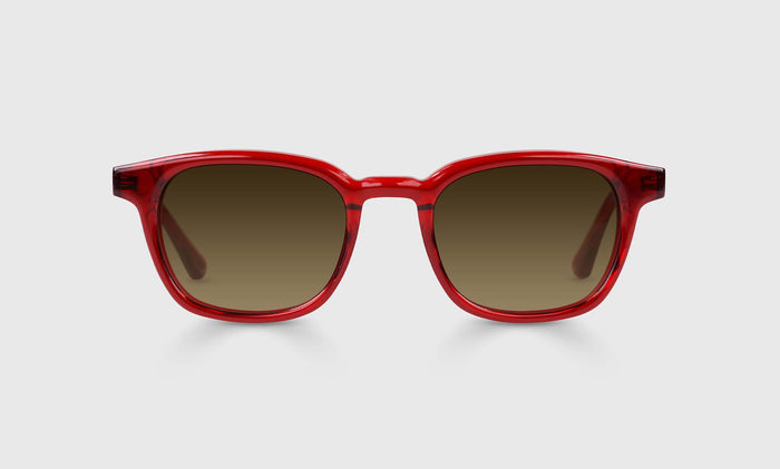  eyebobs Shareholder, Square, Average, Reader Sunglasses, Polarized Brown