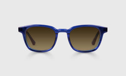 Shareholder - Front - Polarized Brown