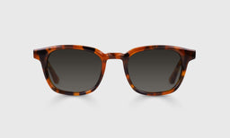 Shareholder Color 19 - Tortoise Front and Temples