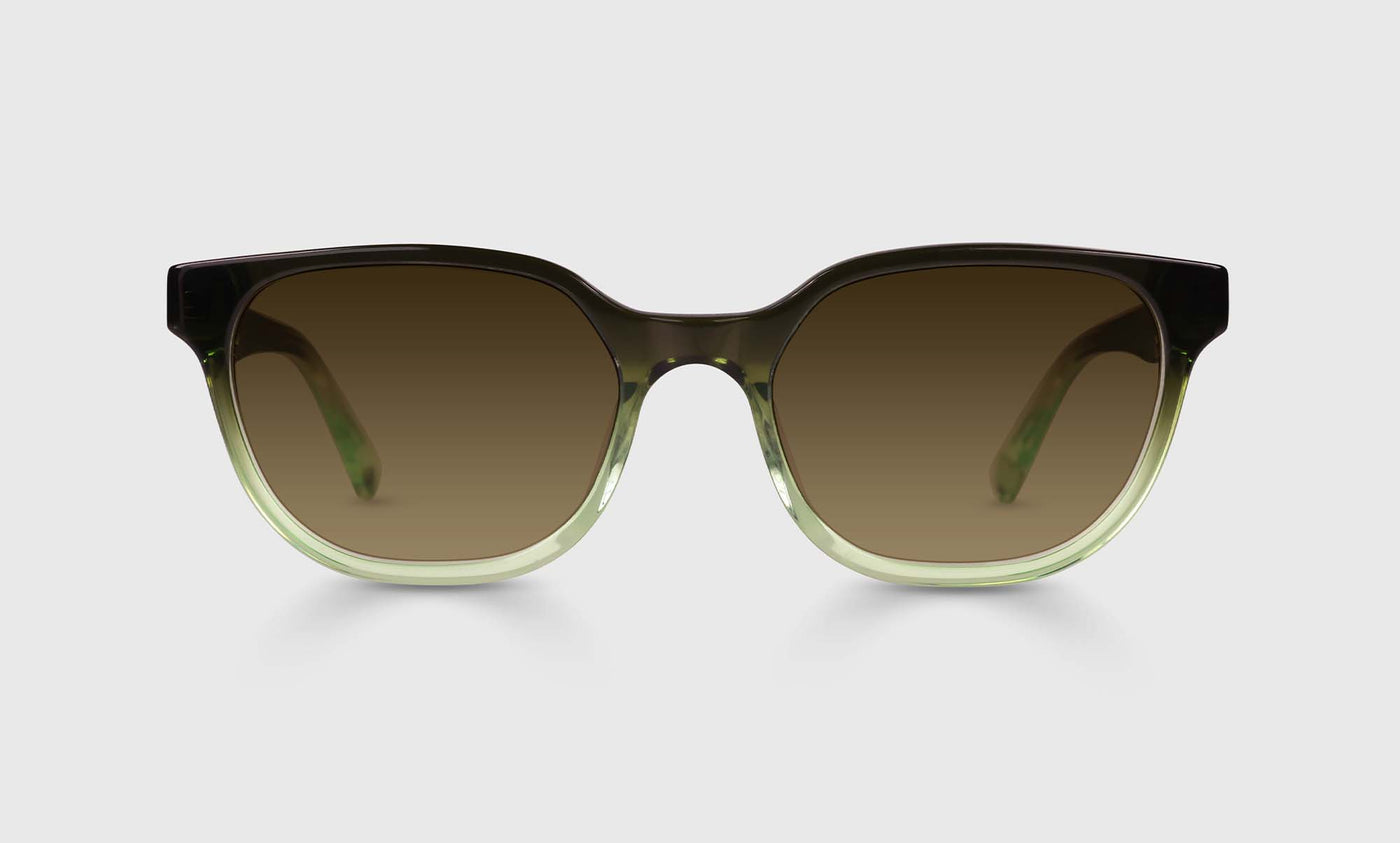 Miss Perception - Front - Polarized Brown