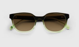 Miss Perception - Laydown - Polarized Brown