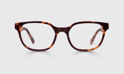 Miss Perception Color 19 - Tortoise Front and Temples