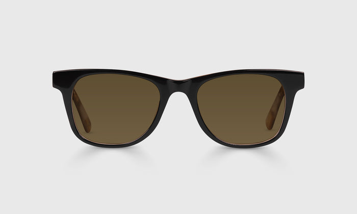  The Director brown polarized sunglass frames on neutral background
