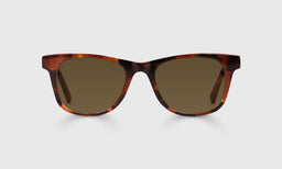 19-pb | The Director brown polarized sunglass frames on neutral background