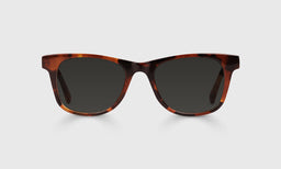 19-pg | The Director grey polarized sunglass frames on neutral background