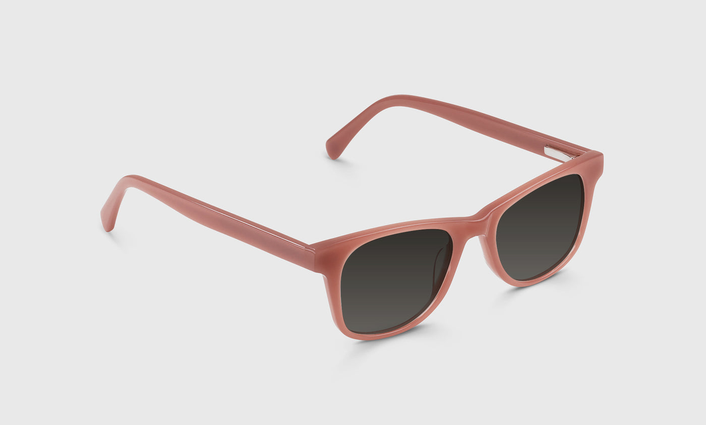 The Director - Angle - Polarized Grey