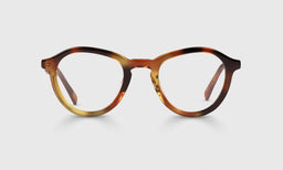 Public Eye Color 19 - Autumn Tortoise Front and Temples