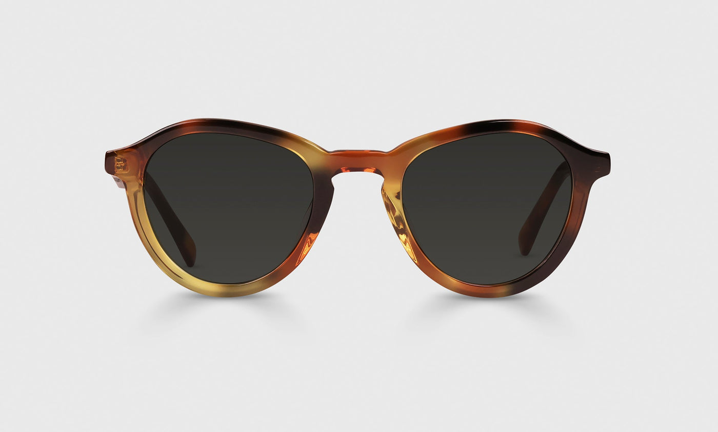 Public Eye Color 19 - Autumn Tortoise Front and Temples
