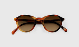 Public Eye - Laydown - Polarized Brown