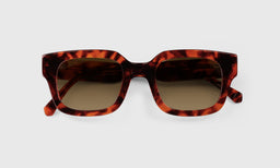 Square Off - Laydown - Polarized Brown