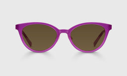 15-pb | Statuette brown polarized sunglass frames on neutral background