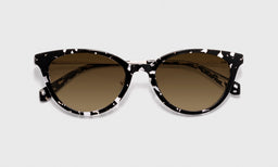 Statuette - Laydown - Polarized Brown