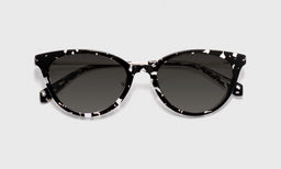 Statuette - Laydown - Polarized Grey