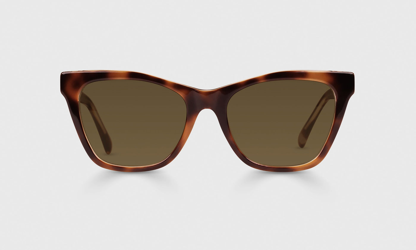 19-pb | Kitten Around polarized brown front eyeglass frame on neutral background