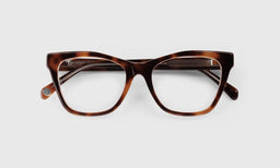 19 | Kitten Around lay down eyeglass frame on neutral background