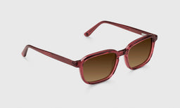 Well Done - Angle - Polarized Brown