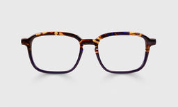 Well Done Color 50 - Tortoise and Navy Front and Temples