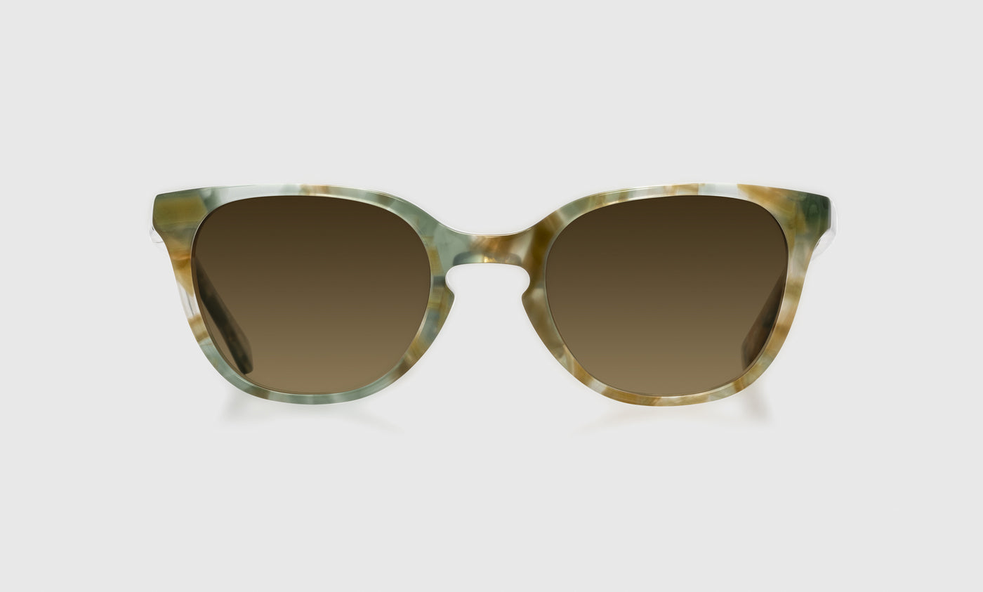 Decent Proposal - Front - Polarized Brown