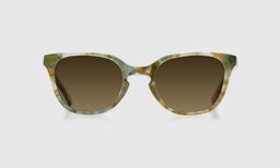 Decent Proposal - Front - Polarized Brown