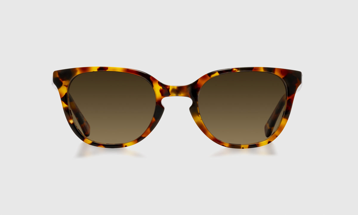 Decent Proposal - Front - Polarized Brown